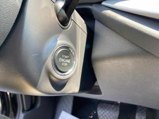 SKODA Octavia usata, con Fendinebbia