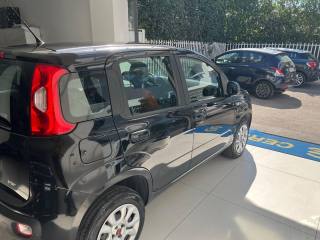 FIAT Panda usata, con Cerchi in lega
