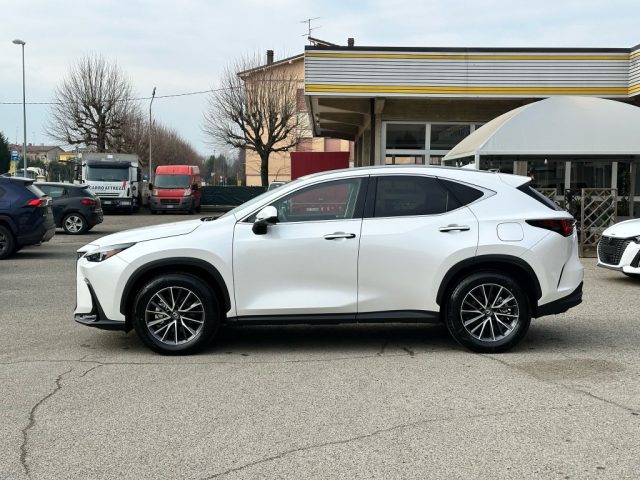 LEXUS NX 350h usata, con Airbag laterali