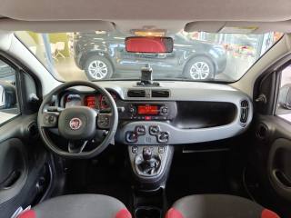 FIAT Panda usata, con Servosterzo