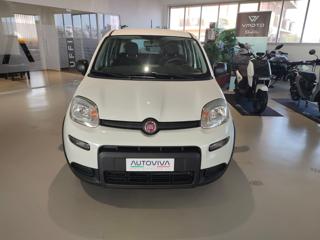 FIAT Panda usata, con Airbag