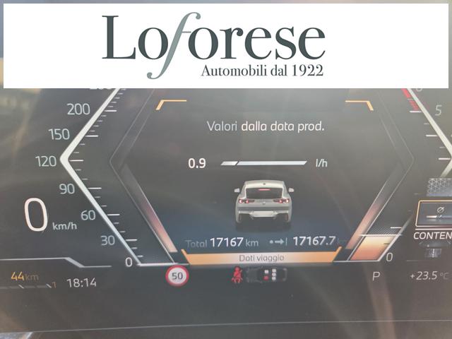 BMW X2 usata, con Autoradio digitale