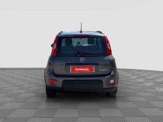 FIAT Panda usata 3