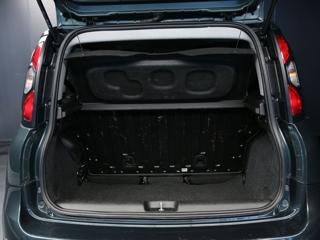 FIAT Panda Cross usata, con Climatizzatore