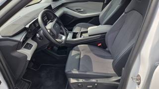 FORD Explorer usata, con Fendinebbia