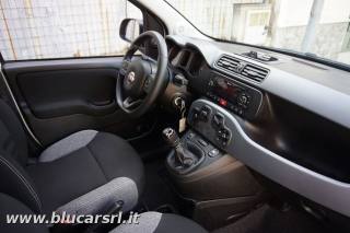 FIAT Panda usata, con Climatizzatore