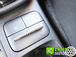 FORD Fiesta usata 15