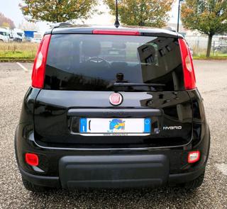 FIAT Panda usata, con Controllo trazione