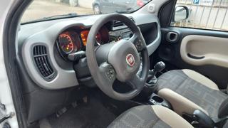 FIAT Panda usata, con Cerchi in lega