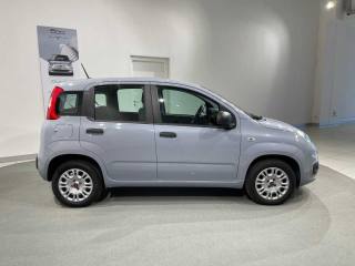 FIAT Panda usata, con Autoradio