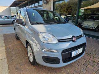 FIAT Panda usata, con Antifurto