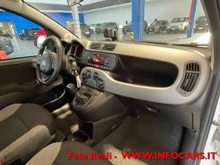 FIAT Panda usata 23