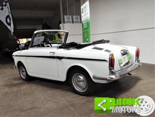 AUTOBIANCHI Bianchina usata 3