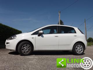 FIAT Punto usata 55