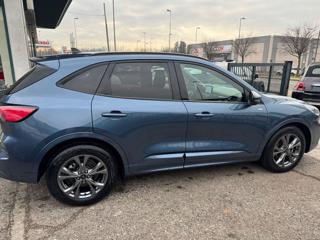 FORD Kuga usata, con Volante in pelle