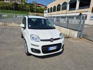 FIAT Panda usata, con Alzacristalli elettrici