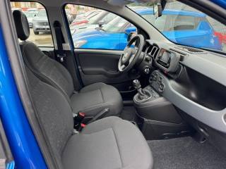 FIAT Panda usata, con Controllo automatico clima