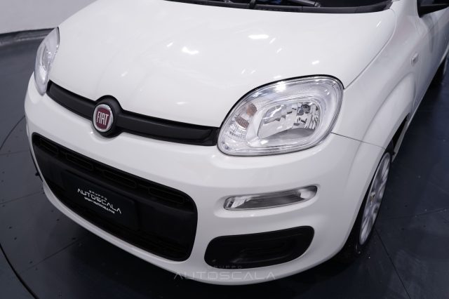 FIAT New Panda usata 20