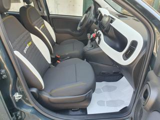 FIAT Panda usata, con Cruise Control