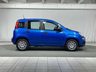 FIAT Panda usata, con Climatizzatore
