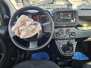 FIAT Panda usata, con Airbag testa