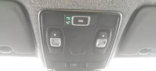 RENAULT Clio usata 48