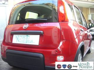 FIAT Panda usata, con Immobilizzatore elettronico