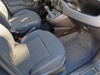 FIAT Panda Cross usata, con Fendinebbia