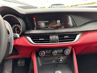 ALFA ROMEO Stelvio usata, con Chiusura centralizzata