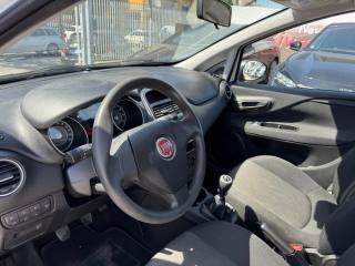 FIAT Punto usata, con Cronologia tagliandi