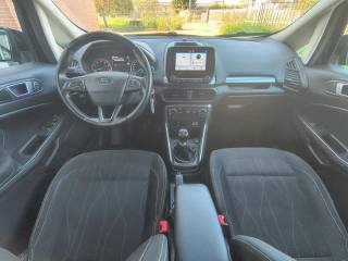 FORD EcoSport usata, con Cruise Control