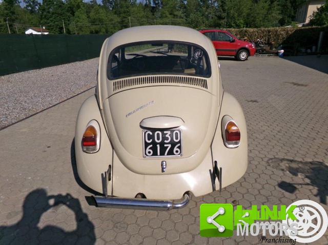 VOLKSWAGEN Maggiolino usata 3