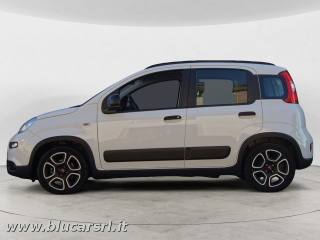 FIAT Panda usata, con Antifurto