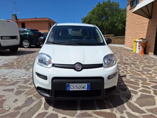FIAT Panda usata, con Airbag