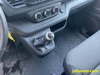 RENAULT Trafic usata 24