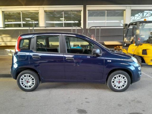 FIAT Panda usata, con Alzacristalli elettrici