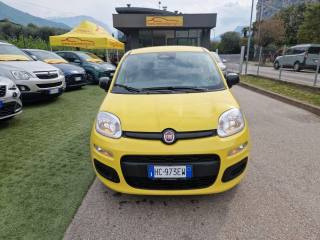 FIAT Pandina usata, con Controllo trazione