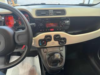 FIAT Panda usata, con Airbag testa