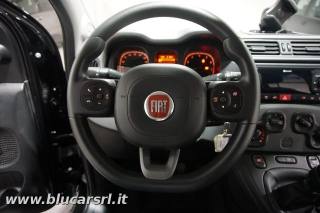 FIAT Panda usata 15