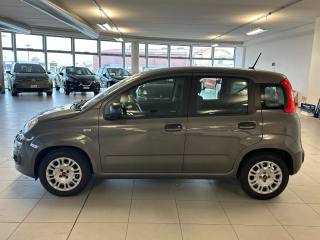 FIAT Panda usata, con Alzacristalli elettrici