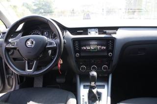 SKODA Octavia usata, con Servosterzo