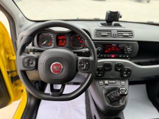 FIAT Panda usata 18