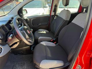 FIAT Panda usata, con Immobilizzatore elettronico