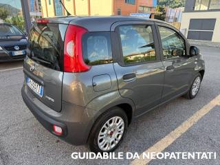 FIAT Panda usata, con Airbag