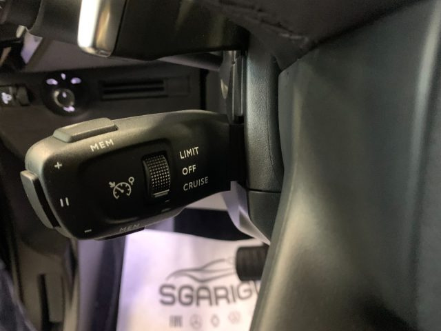 DS AUTOMOBILES DS 7 usata, con Autoradio digitale