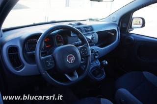 FIAT Panda usata, con Chiusura centralizzata