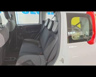 FIAT New Panda usata 18