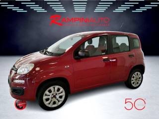 FIAT Panda usata 11
