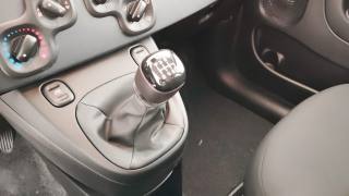FIAT Pandina usata, con Isofix