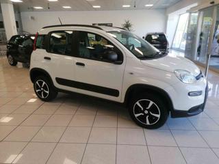 FIAT Panda usata 41